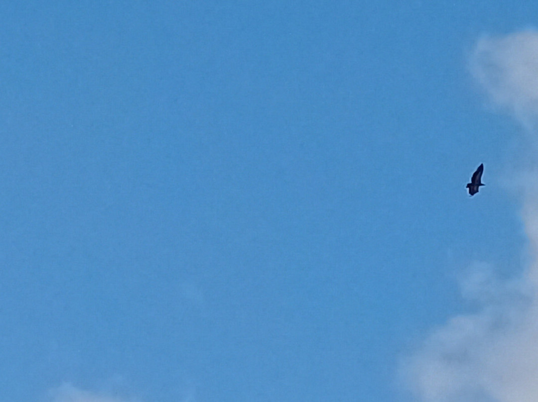 Edelweißspitze-Fusch必去景点