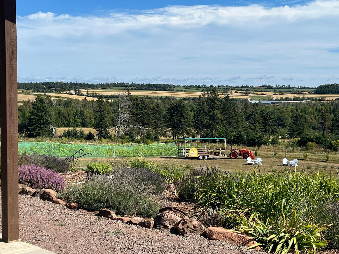 Island Honey Wine Company-Wheatley River必去景点