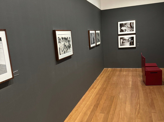 Instituto Moreira Salles - IMS Paulista-圣保罗必去景点