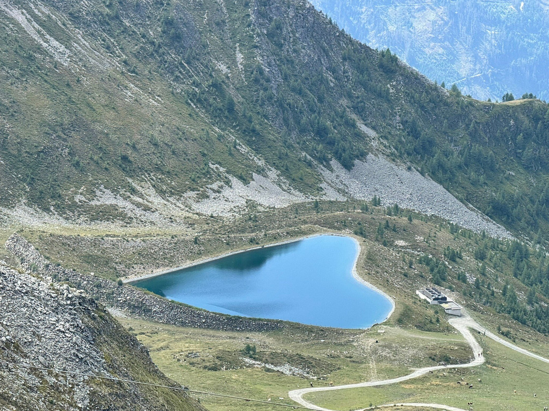 LEDERER's LIVING主图