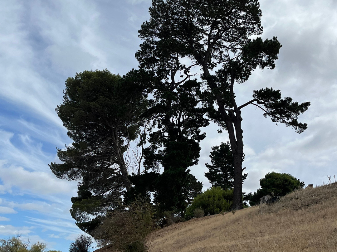 Ross Female Factory-罗斯必去景点