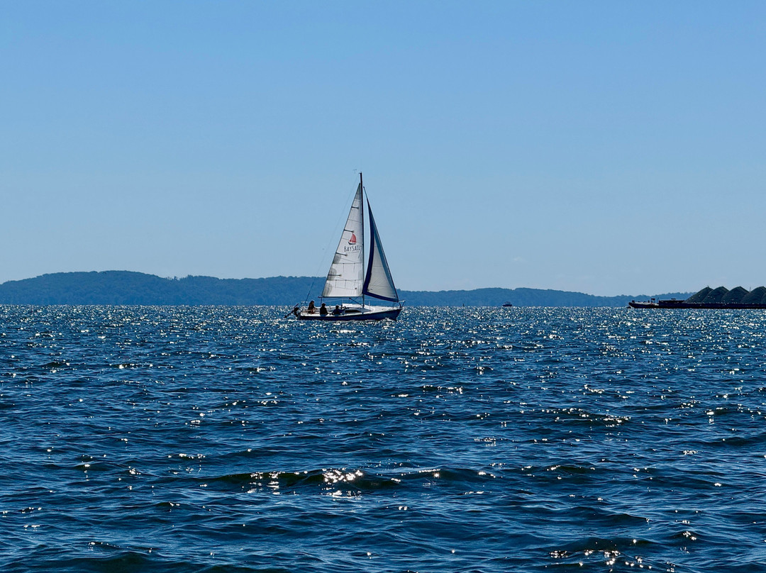 Baysail School & Yacht Charter - Day Tours-Havre de Grace必去景点