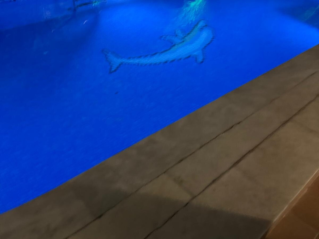 地中海皇家酒店主图