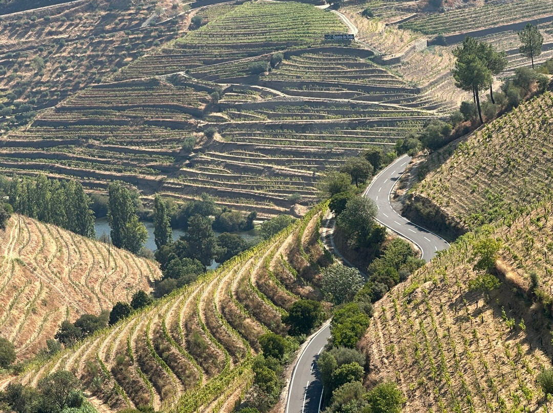 Quinta do Val Moreira-Armamar必去景点