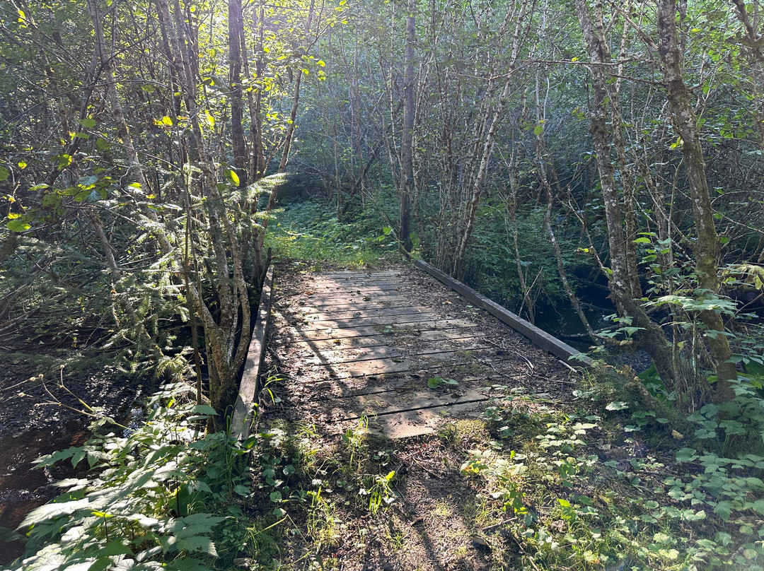 Glacier Bay's Bear Track Inn主图