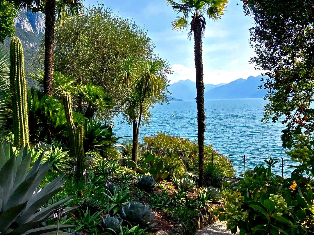 Green Way dei Patriarchi-瓦伦纳必去景点