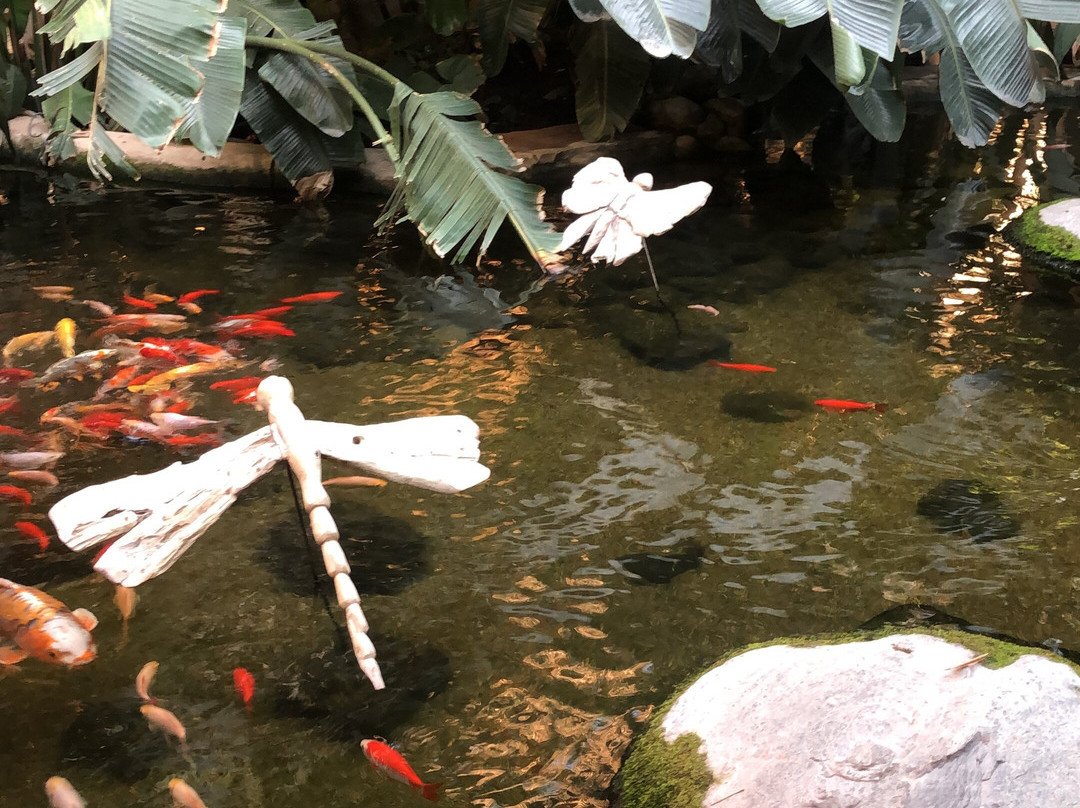 Aqua Mundo Center Parcs Park Allgäu-Leutkirch im Allgau必去景点