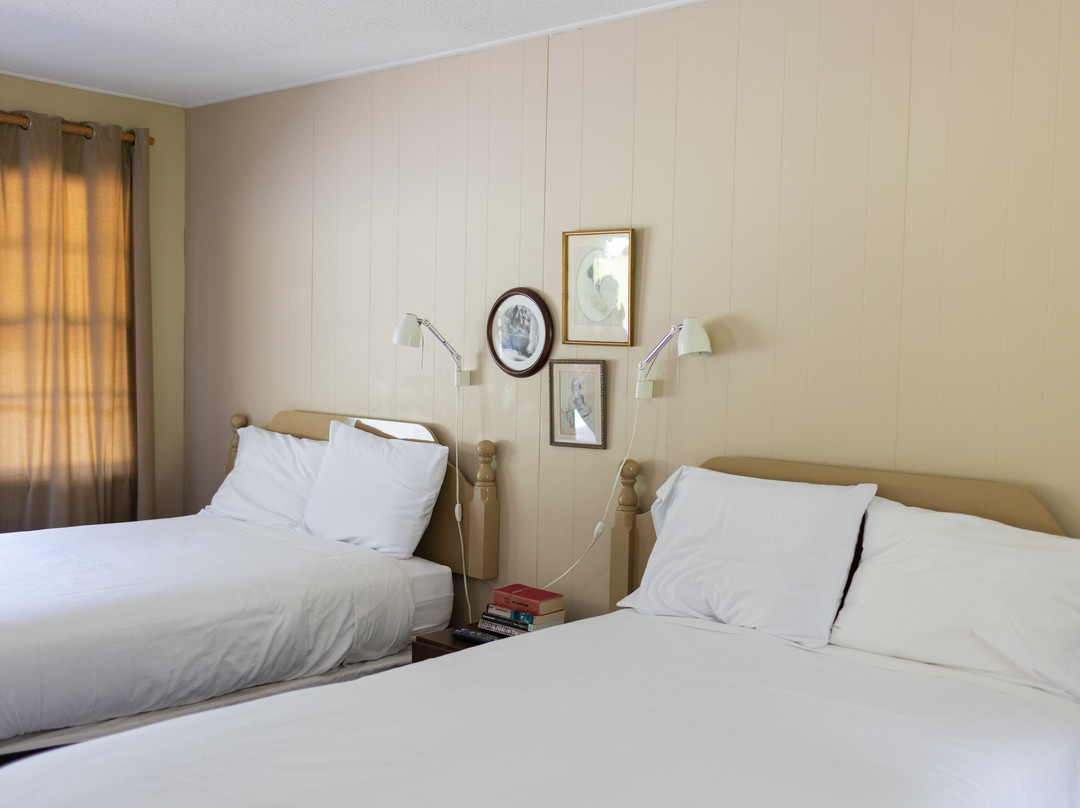 The Little Lion主图