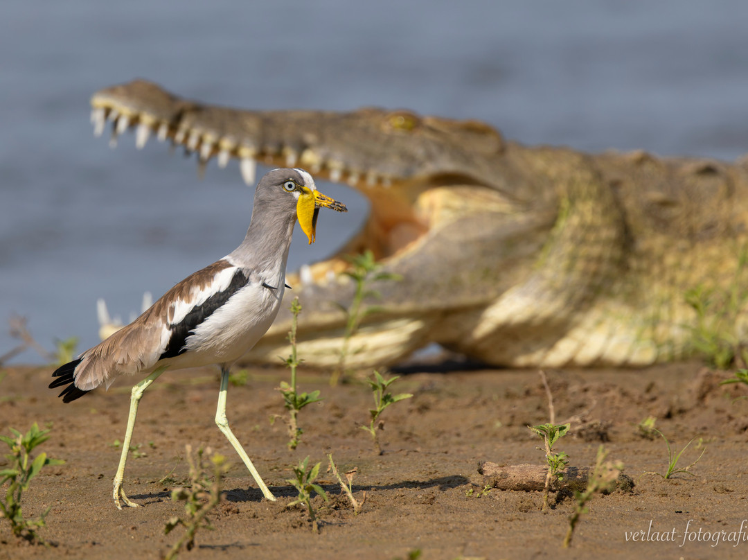 Travel with Deo-Mloka必去景点