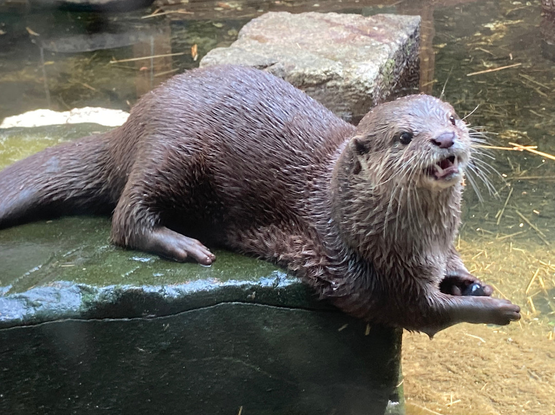 SEA LIFE Timmendorfer Strand-蒂门多佛海滩必去景点