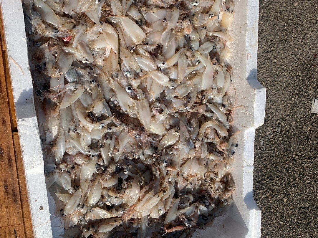 Mercato del Pesce-Sciacca必去景点