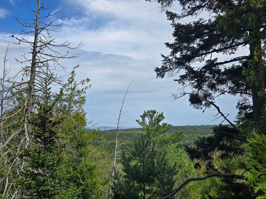 Pedego Electric Bikes Bar Harbor-巴港必去景点