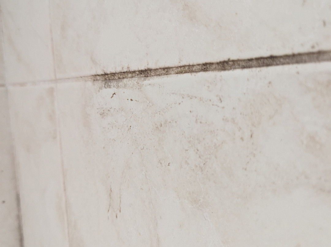 奥利弗克伦威尔酒店主图