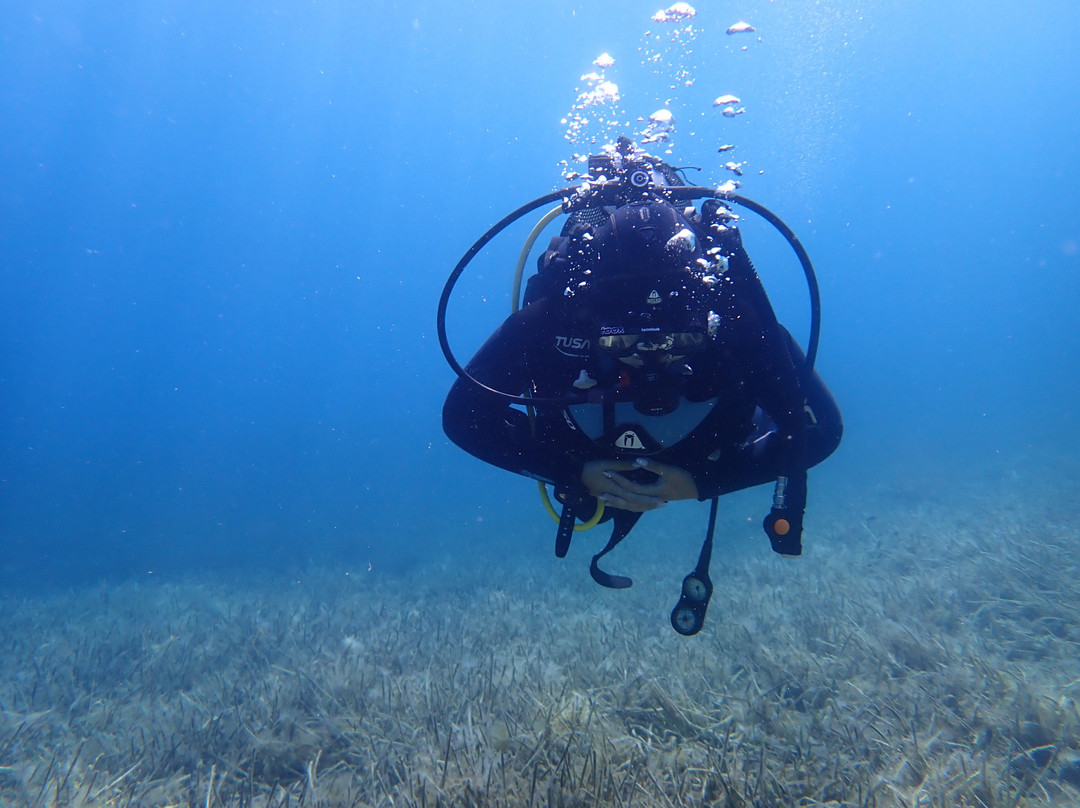 Gorgona Divers-Skála Potamiás必去景点