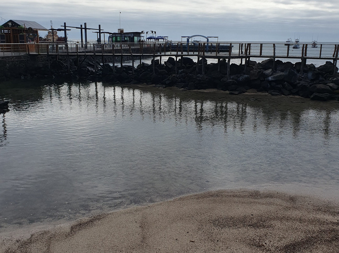 Cerro Tijeretas-Puerto Baquerizo Moreno必去景点