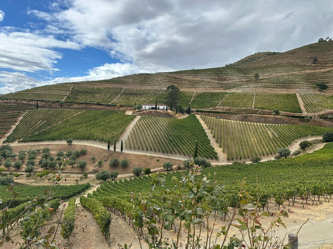 Quinta do Crasto-Sabrosa必去景点