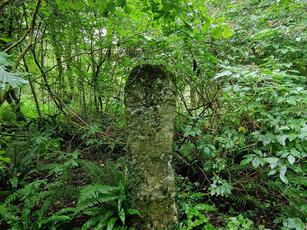 Craggaunowen-Sixmilebridge必去景点
