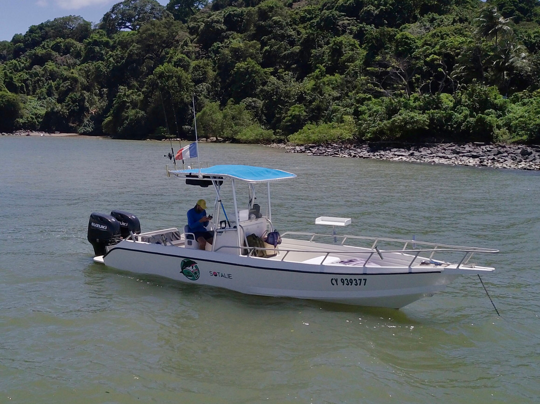 Sotalie Excursions-Remire-Montjoly必去景点