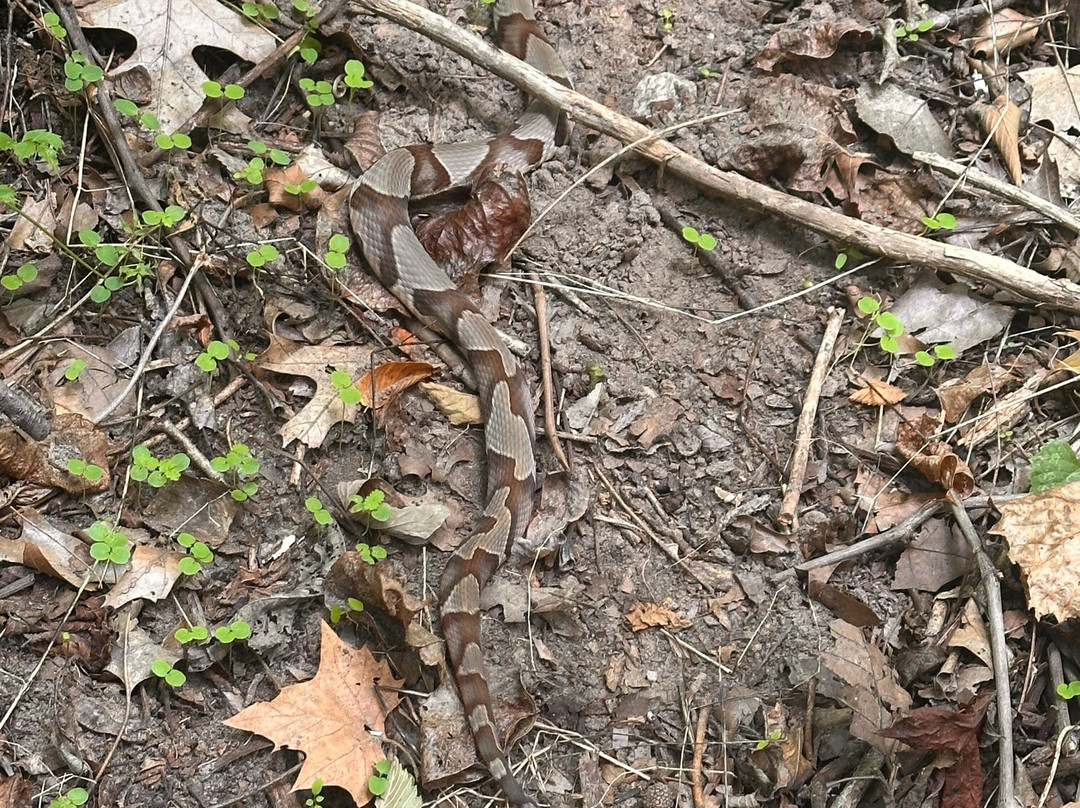 Ray Harral Nature Park-Broken Arrow必去景点