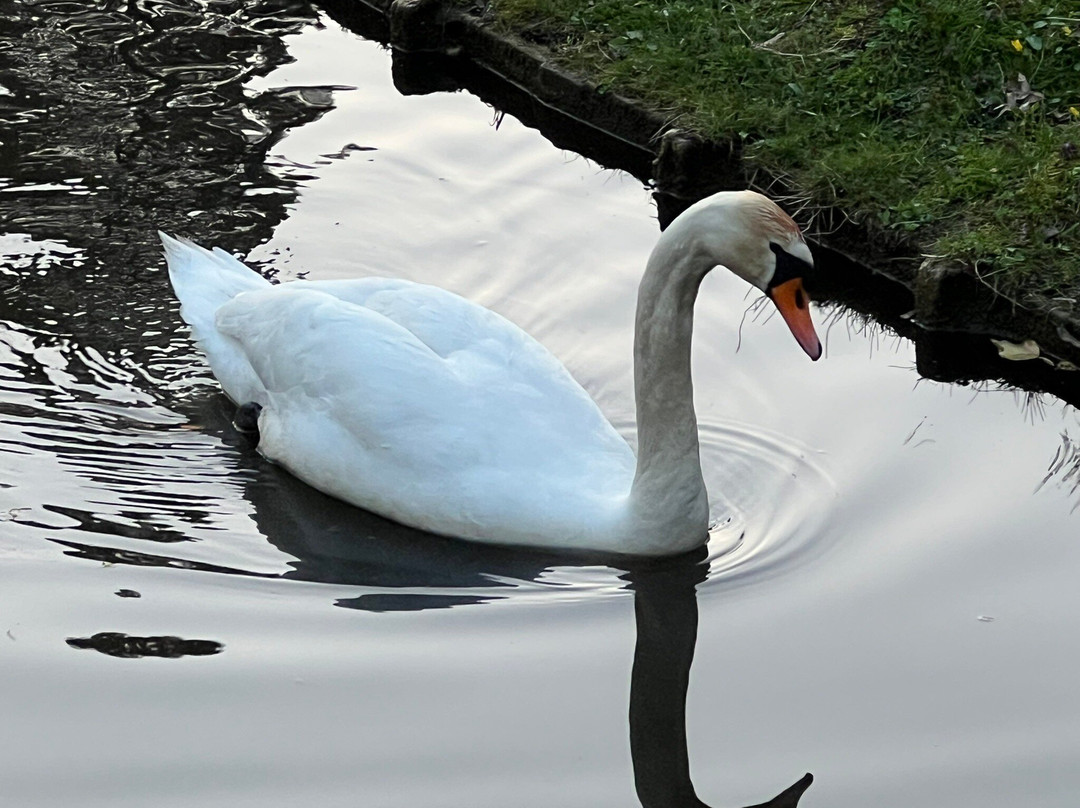 Französischer Garten-策勒县必去景点