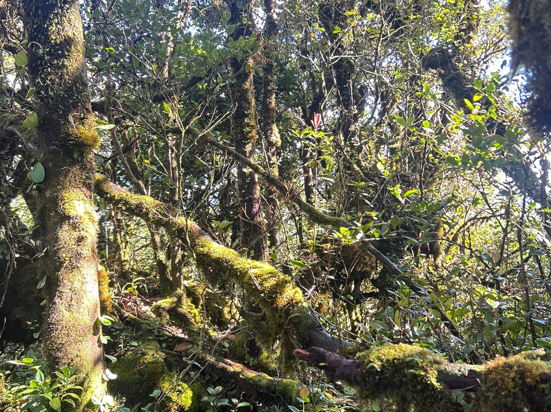 Discover Camerons-丹那拉塔必去景点