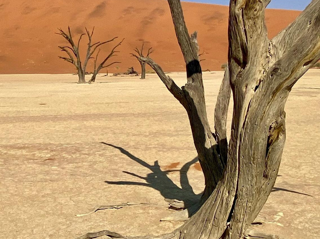 Nature Travel Namibia-温德和克必去景点