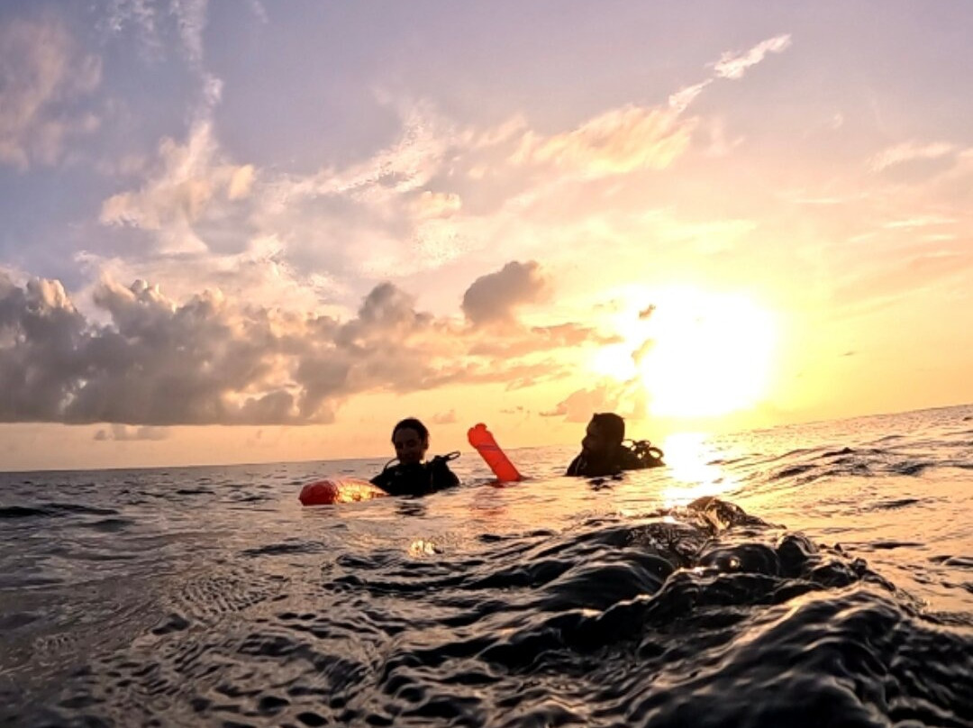 Infini Plongee-Basse-Terre必去景点