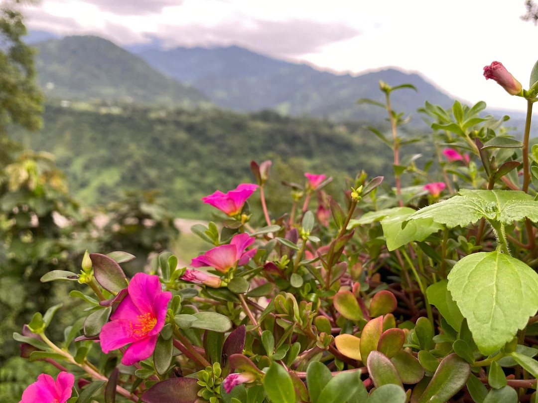 Biren Jeena Homestay, Sittong