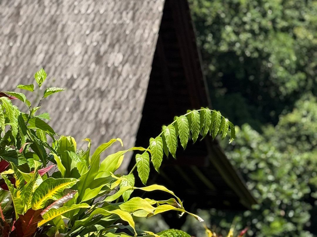 The Hidden Paradise Ubud主图