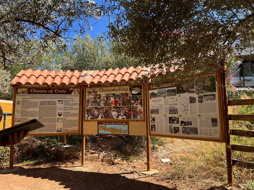 Spiridi Olive Oil Farm-Agios Nikolaos必去景点