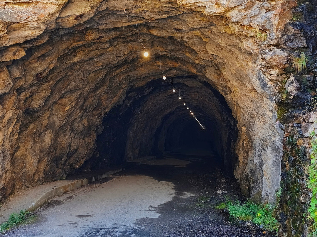 Funivia San Carlo-Robiei-Cevio必去景点