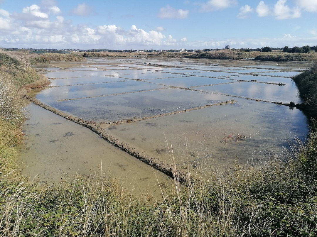 La Maison des Paludiers-Guerande必去景点