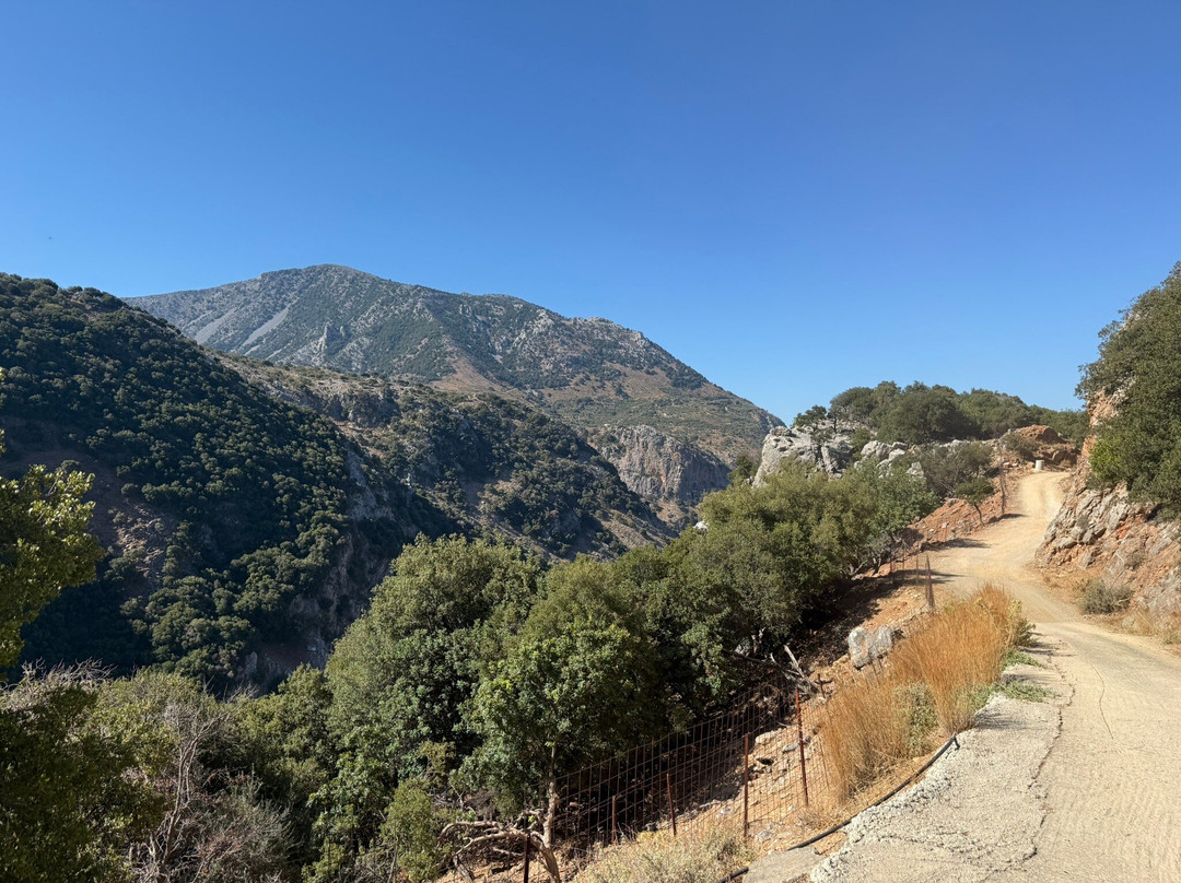 Safari Experts Crete-马利亚必去景点