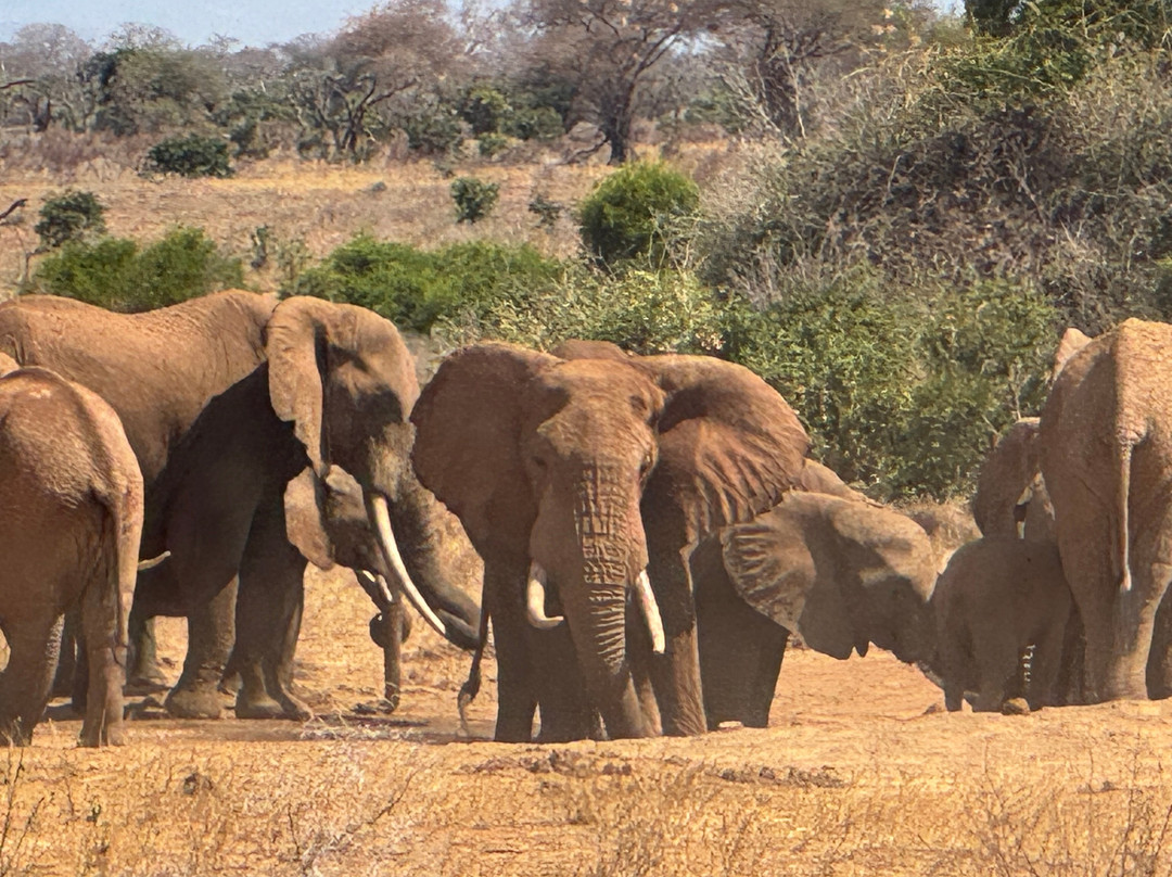 Beppe Watamu-瓦塔木必去景点