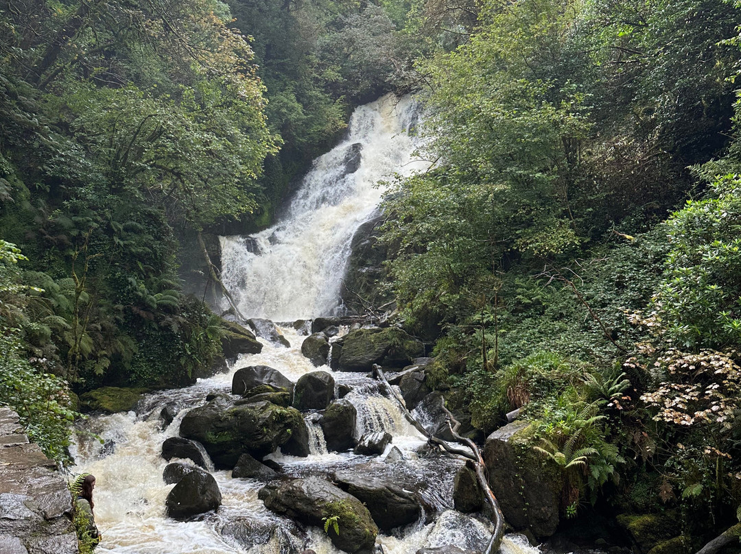 Torc Waterfall-基拉尼必去景点