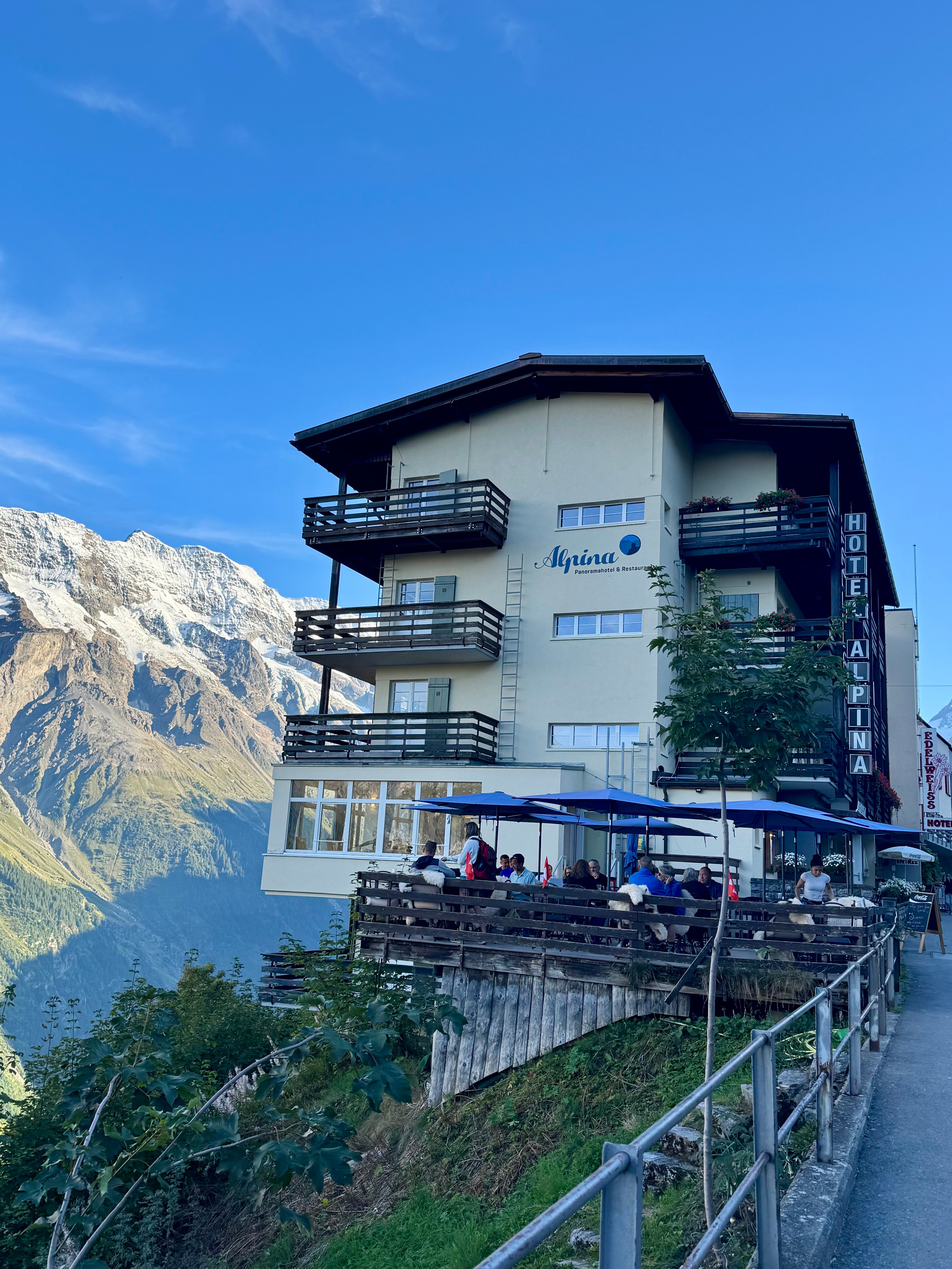 阿尔卑山酒店-官方