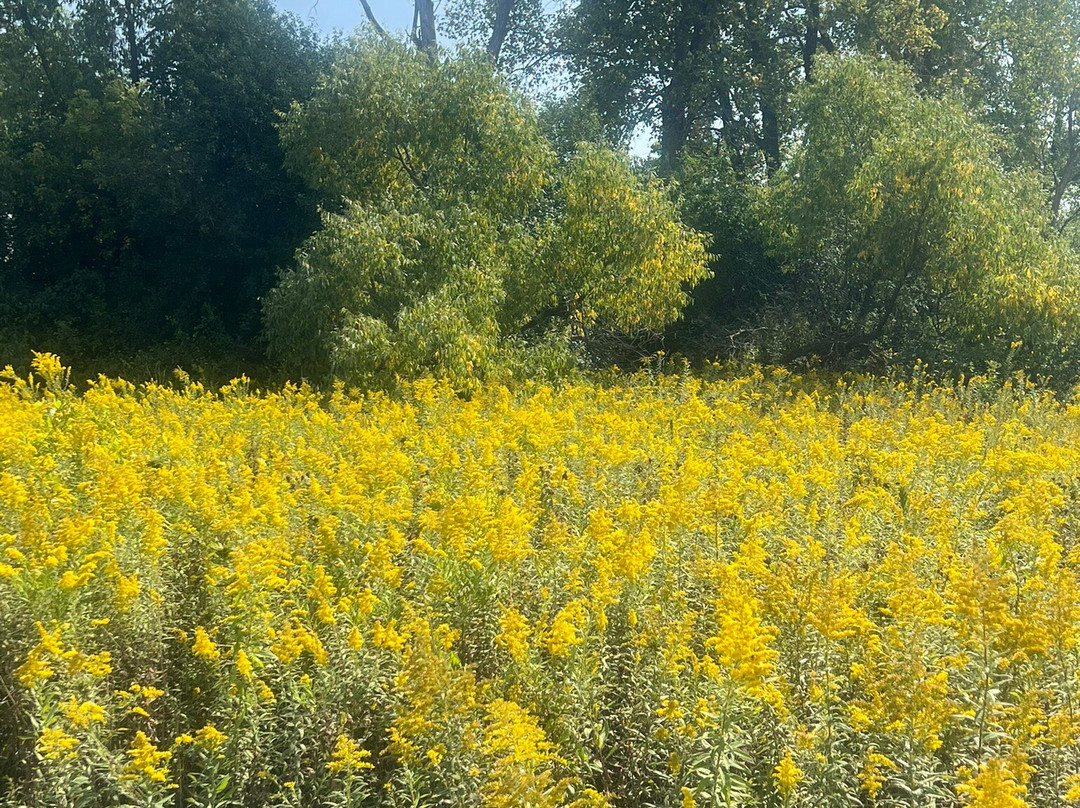 Buffalo Creek Forest  Preserve-Long Grove必去景点