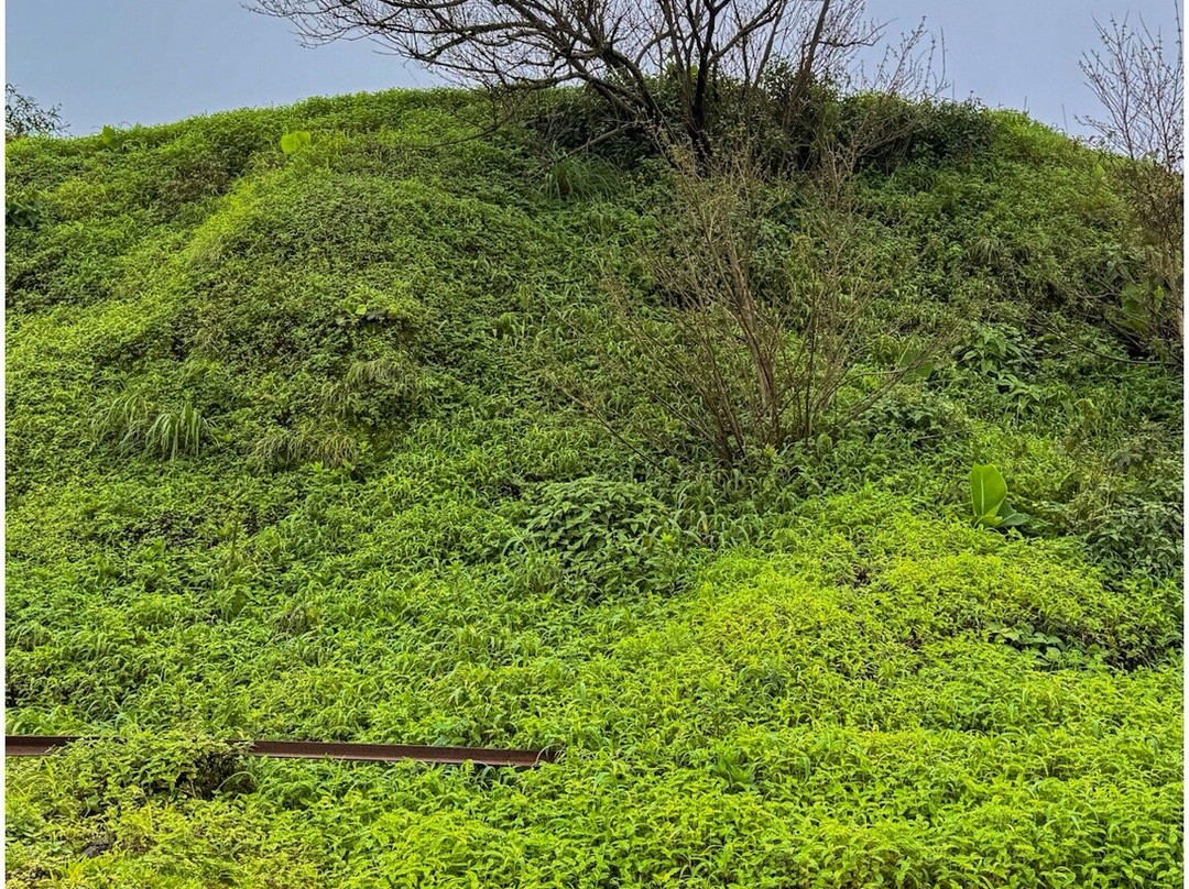 Tikona Fort-罗纳瓦拉必去景点