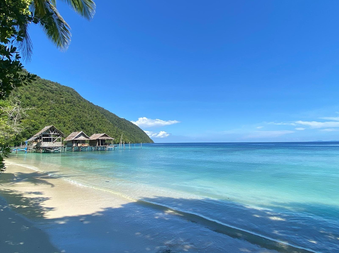 Raja Ampat Dive Trips-Arborek必去景点