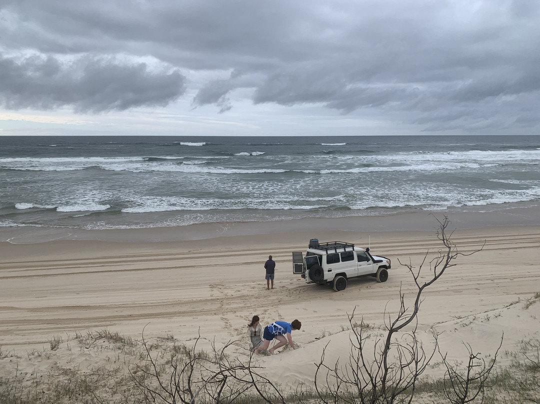 Straddie Kingfisher Tours-Dunwich必去景点