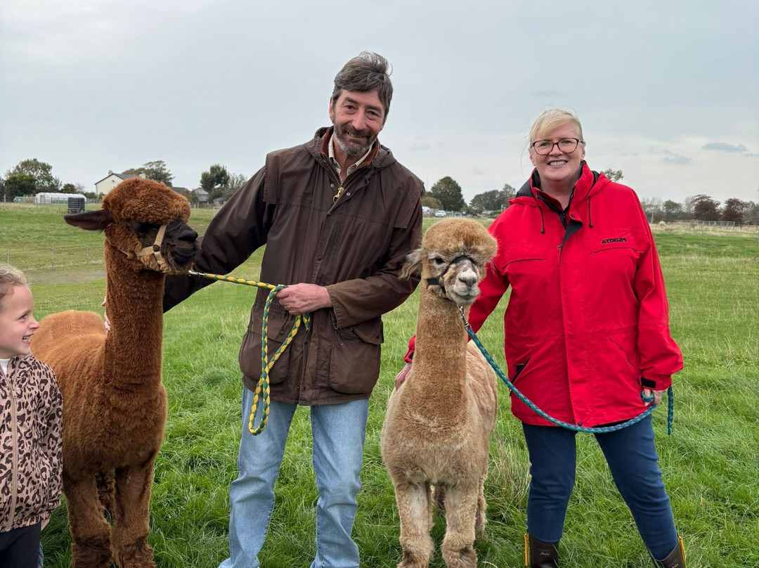 Natterjack Alpacas-Ormskirk必去景点