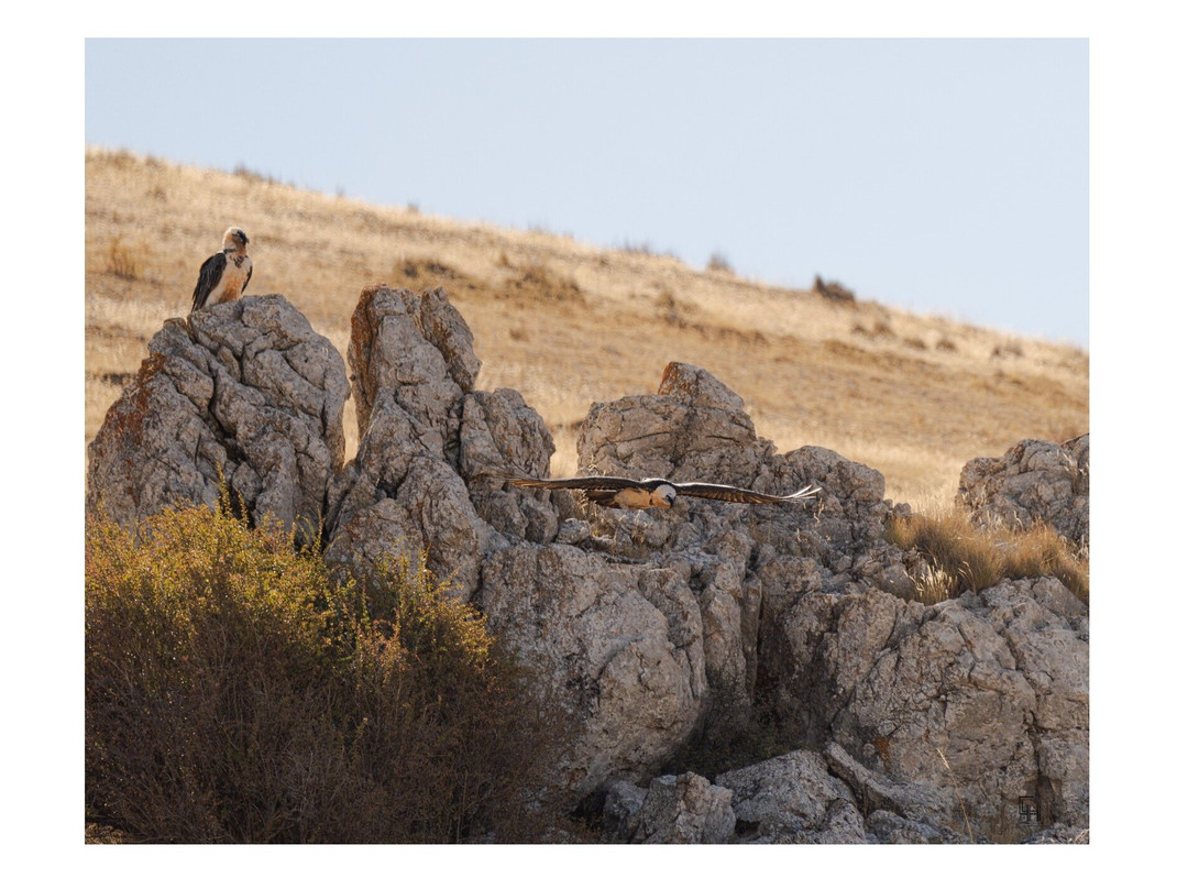 EcoActiva Turismo Activo-格拉纳达必去景点