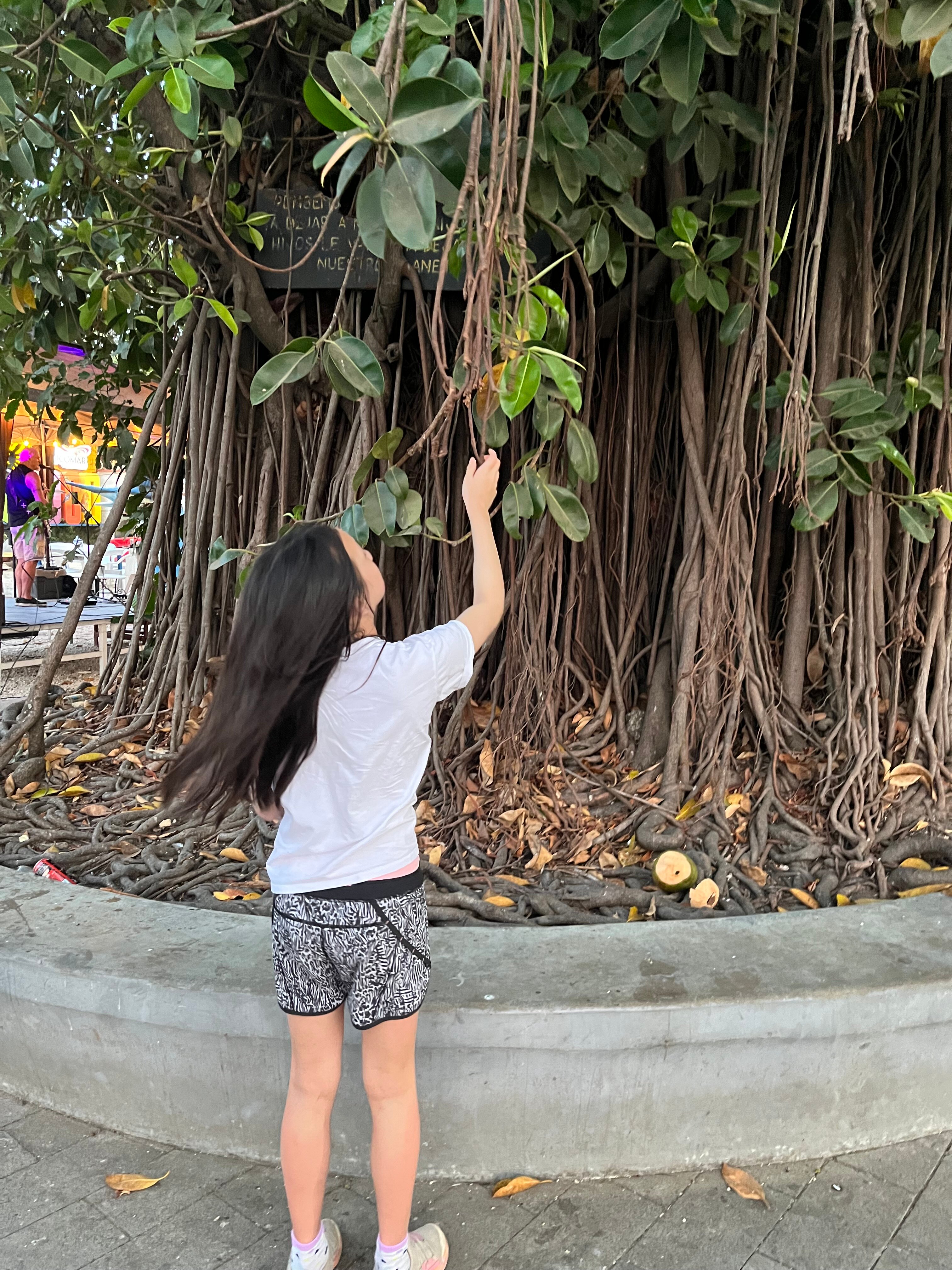 Rancho Armadillo Estate-官方