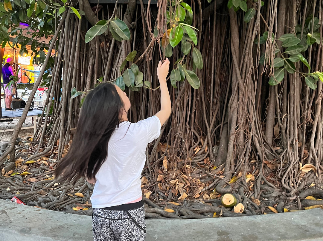 Rancho Armadillo Estate主图