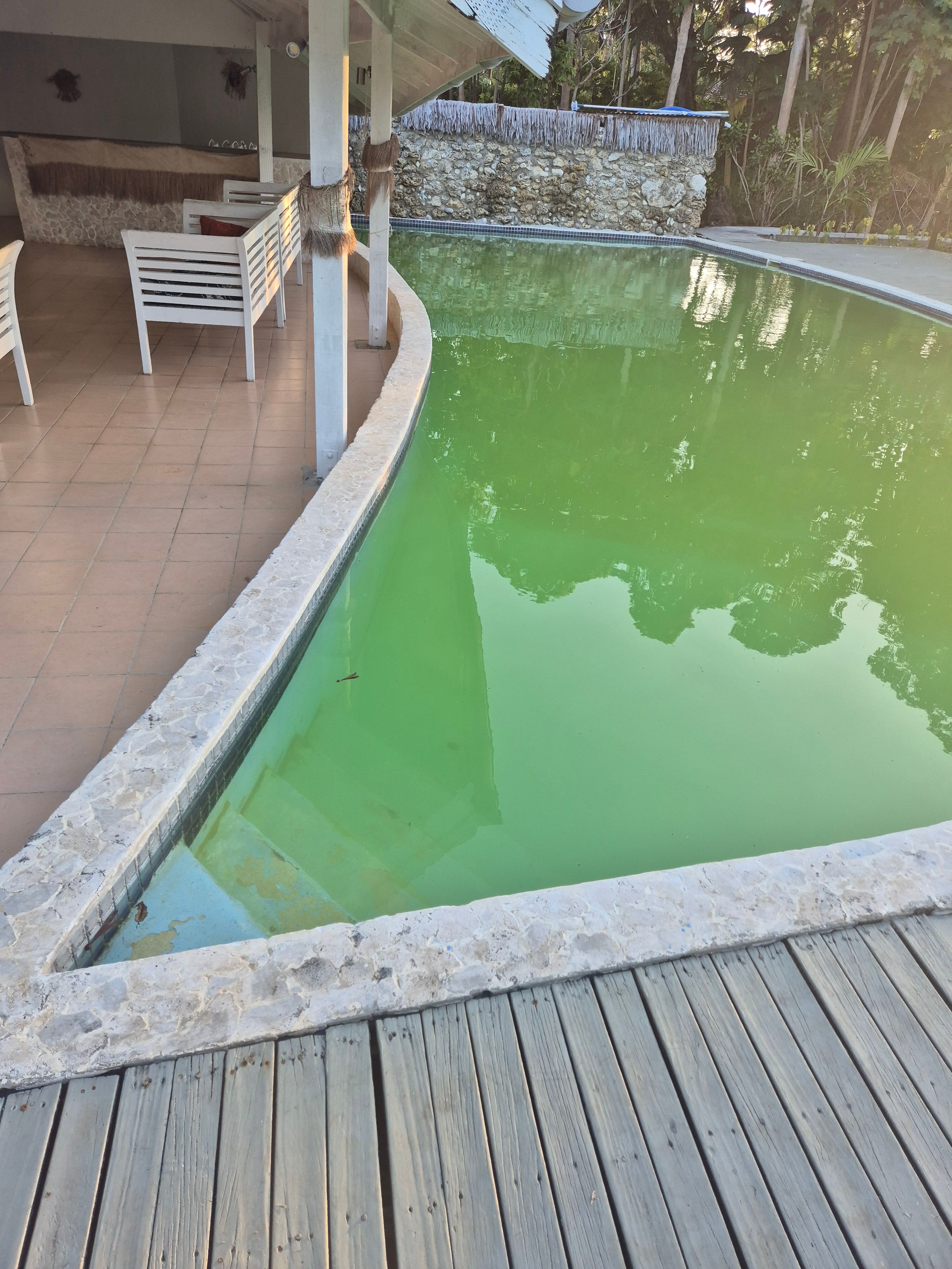 Coco Beach Resort-泳池