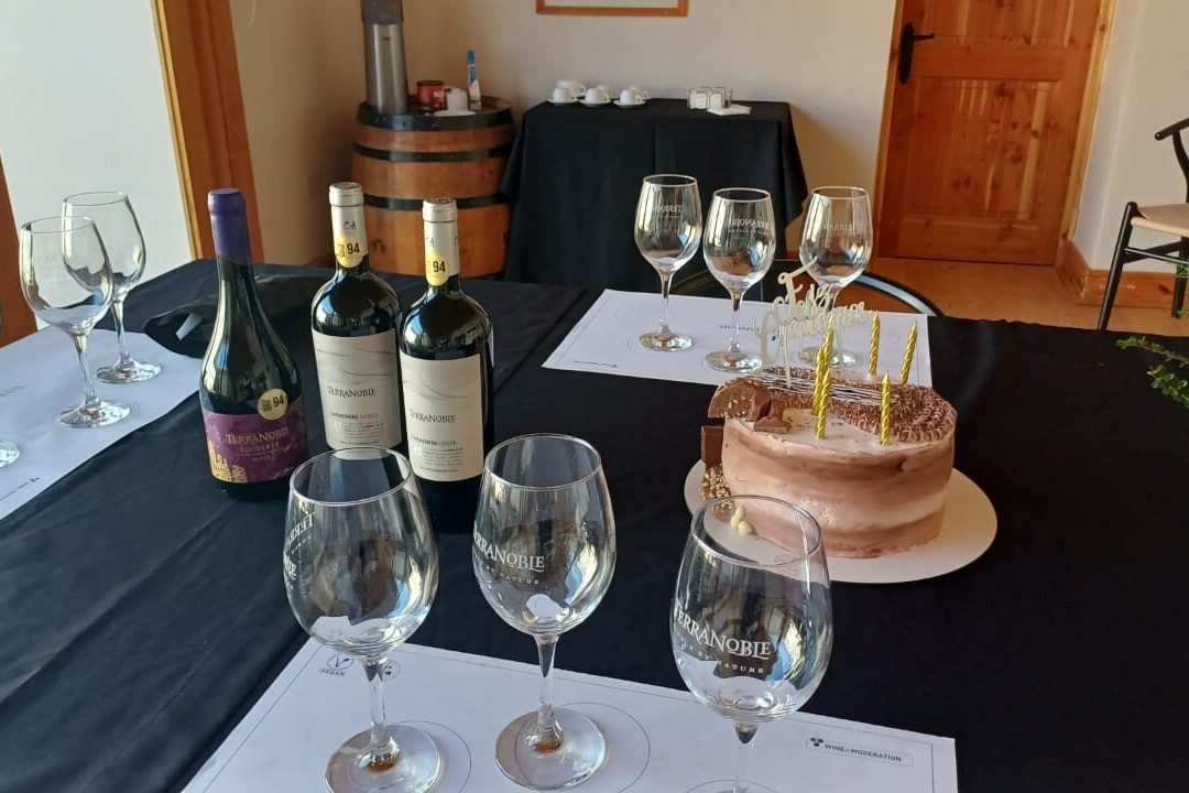 Viña Terranoble-San Clemente必去景点