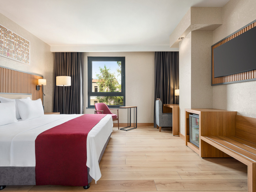 Ramada Plaza by Wyndham Ordu主图