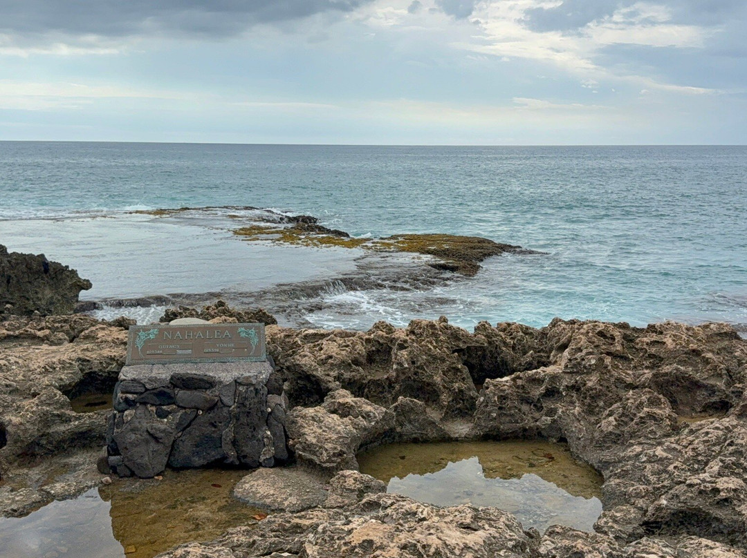 Mermaid Caves-怀厄奈必去景点