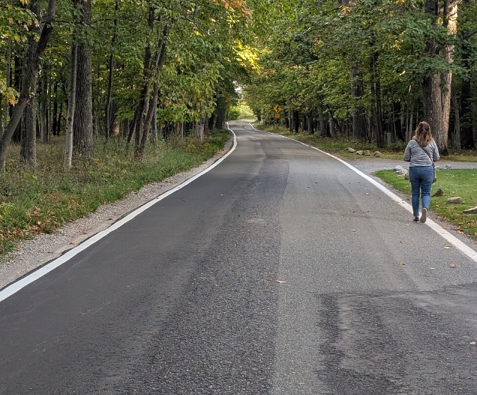 Tunnel of Trees - M119-Harbor Springs必去景点