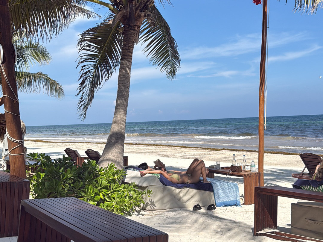 Ziggy’s Beach Club-图伦必去景点